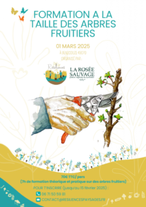 Formation à la taille des arbres fruitiers en Maine et Loire