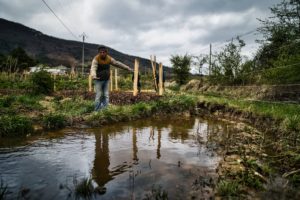 Formation Jardin de pluie aux Alvéoles dans la Drôme @ à la Pépinière des Alvéoles