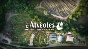 Formation Multiplication végétale aux Alvéoles dans la Drôme @ à la Pépinière des Alvéoles